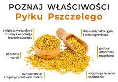 Tablica informacyjna mała Właściwości Pyłku