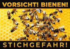 Warnschild groß XXL Bienen auf einer Wabe