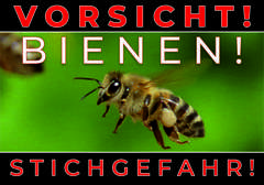 Warnschild groß XXL Biene auf grünem Hintergrund