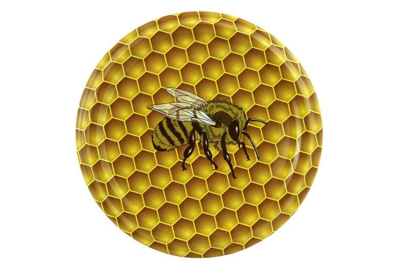 50203